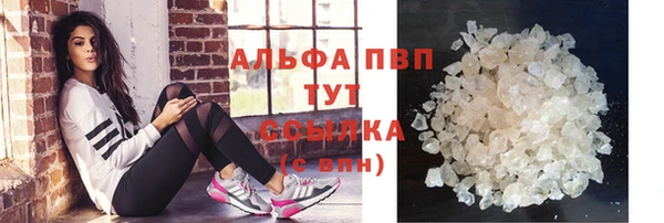 стаф Майский