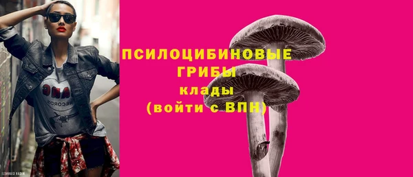 стаф Майский