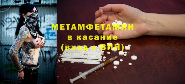 прущие грибы Медвежьегорск